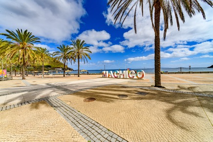 Cani&ccedil;o de baixo